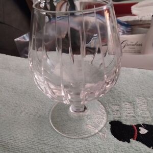 Mikasa Clear Glass Goblet with Etched Design